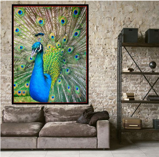 Beautiful Picture of Peacock