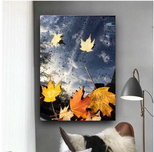 Autumn Season Wall Frame