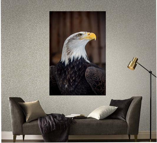 Picture of Eagle