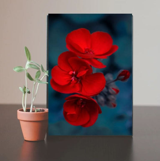 Red Flower Wall Frame Walls Dekor 