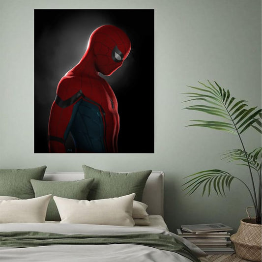 Spiderman Frame