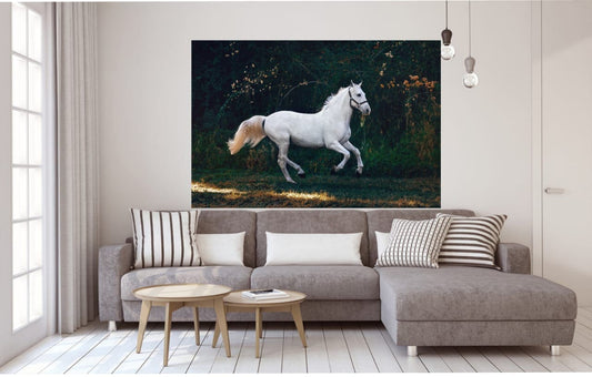 Picture Of Beautiful Horse Wall Frame
