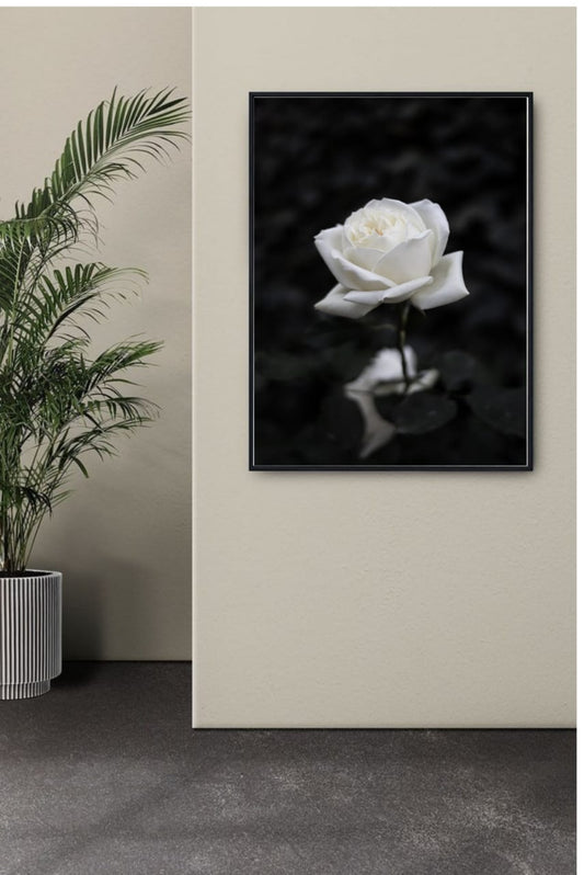 White Rose Frame